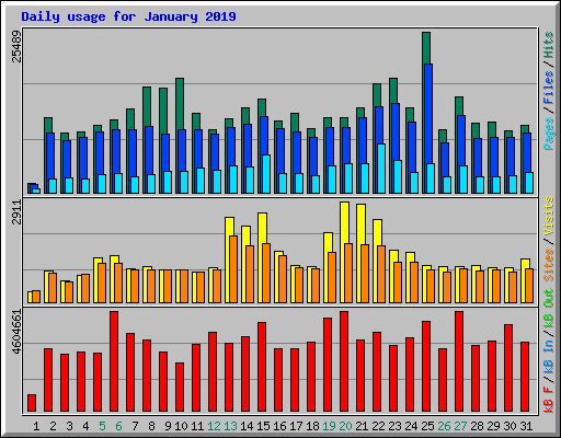 Daily usage for January 2019