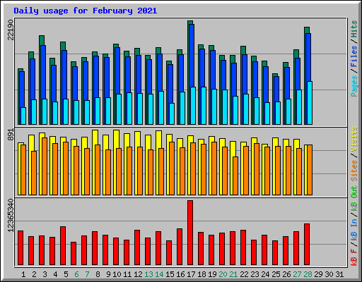 Daily usage for February 2021