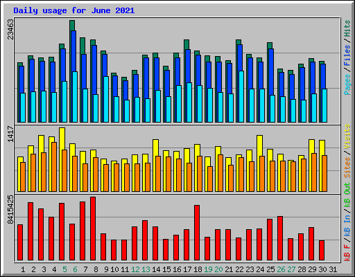 Daily usage for June 2021