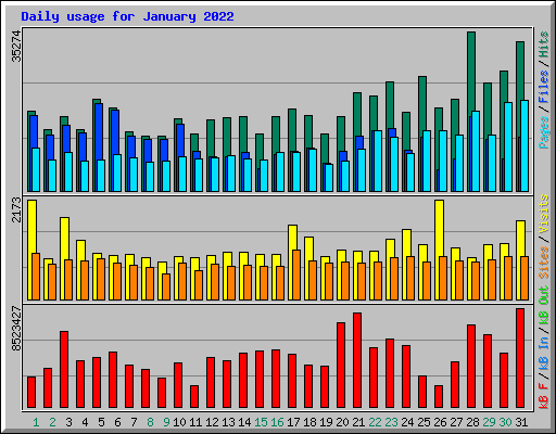 Daily usage for January 2022