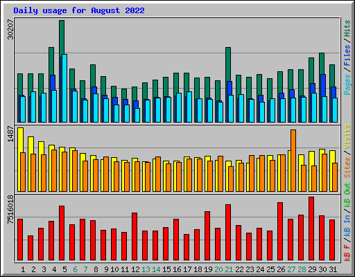 Daily usage for August 2022