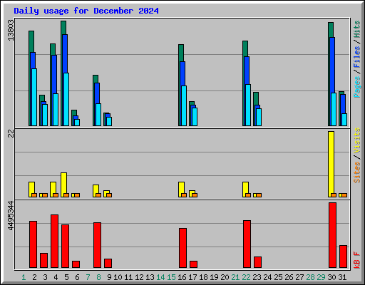 Daily usage for December 2024