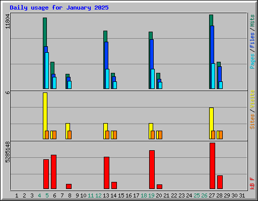 Daily usage for January 2025