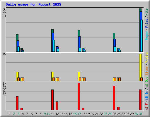 Daily usage for August 2025