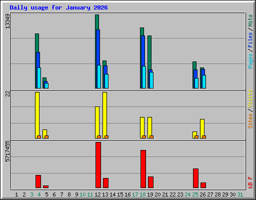 Daily usage for January 2026