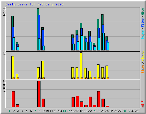 Daily usage for February 2026