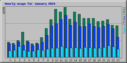 Hourly usage for January 2019