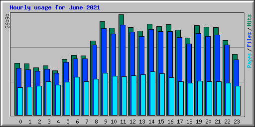 Hourly usage for June 2021