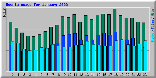 Hourly usage for January 2022