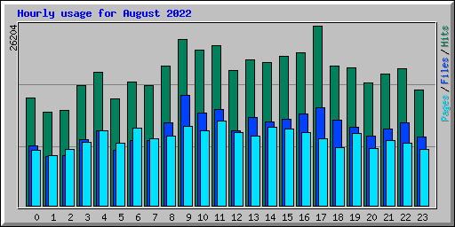 Hourly usage for August 2022