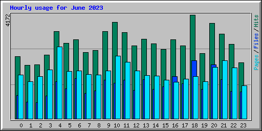 Hourly usage for June 2023