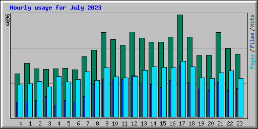 Hourly usage for July 2023