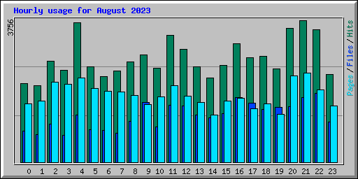 Hourly usage for August 2023