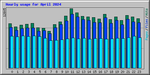 Hourly usage for April 2024