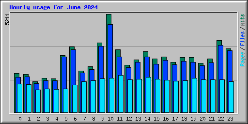 Hourly usage for June 2024