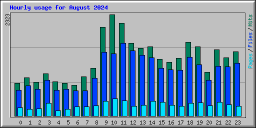 Hourly usage for August 2024