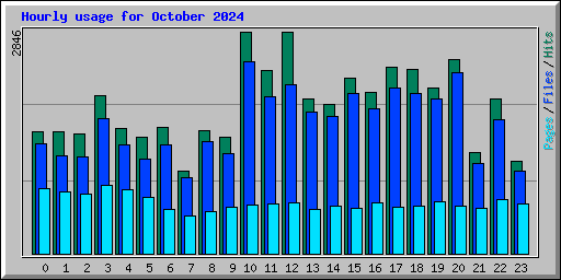 Hourly usage for October 2024