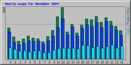 Hourly usage for November 2024
