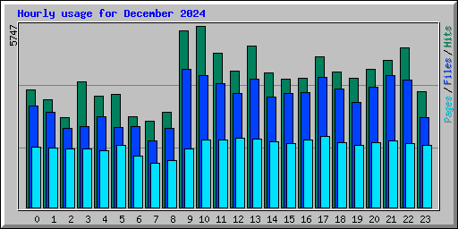 Hourly usage for December 2024