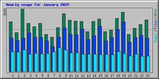 Hourly usage for January 2025