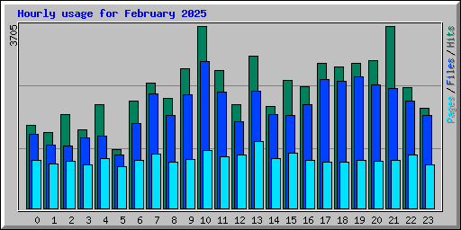 Hourly usage for February 2025