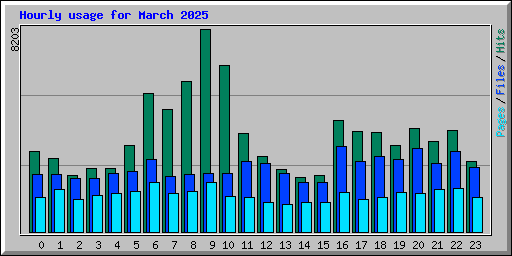 Hourly usage for March 2025