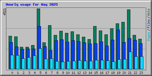 Hourly usage for May 2025
