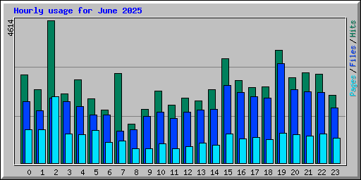 Hourly usage for June 2025