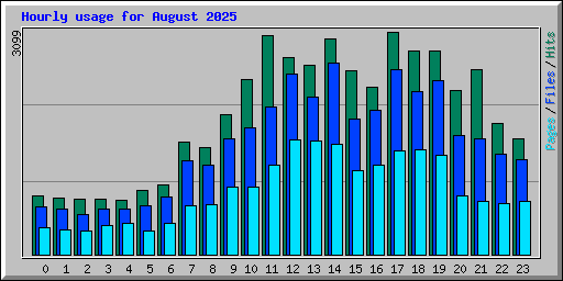 Hourly usage for August 2025