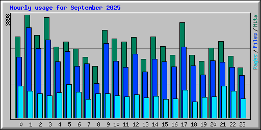 Hourly usage for September 2025