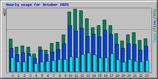 Hourly usage for October 2025