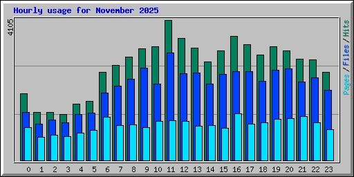 Hourly usage for November 2025
