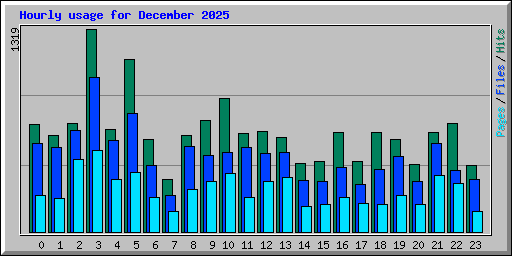 Hourly usage for December 2025