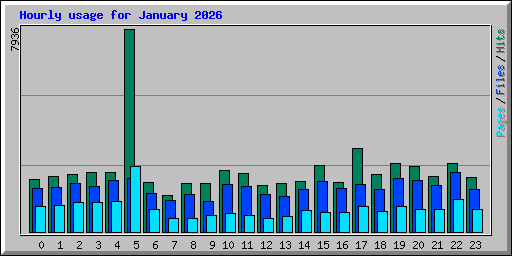 Hourly usage for January 2026