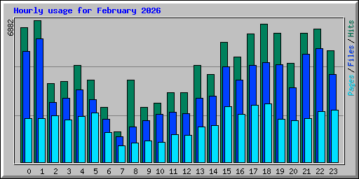 Hourly usage for February 2026
