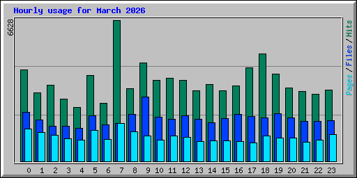Hourly usage for March 2026