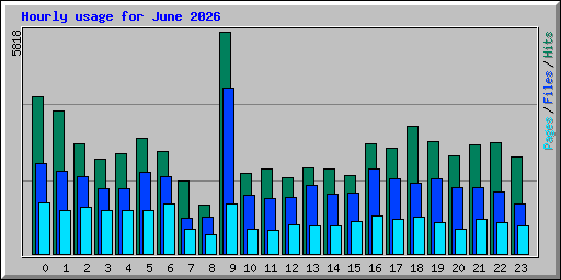 Hourly usage for June 2026