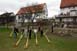 alphorn_06_dsc01075
